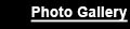 ldta photo gallery button